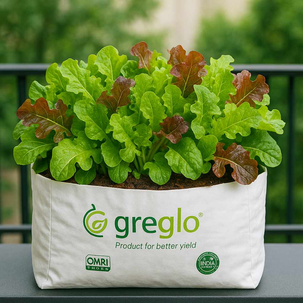 lettuce_grow_bag_compressed grow bag for lettuce<br />